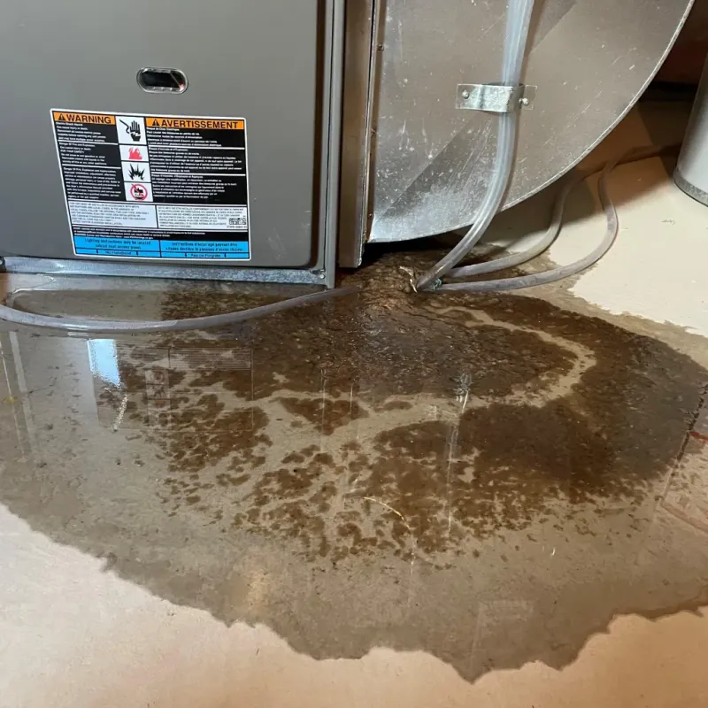 Appliance Leak Cleanup in Pine County, MN